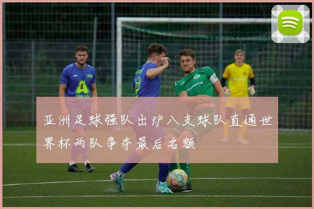 亚洲足球强队出炉八支球队直通世界杯两队争夺最后名额