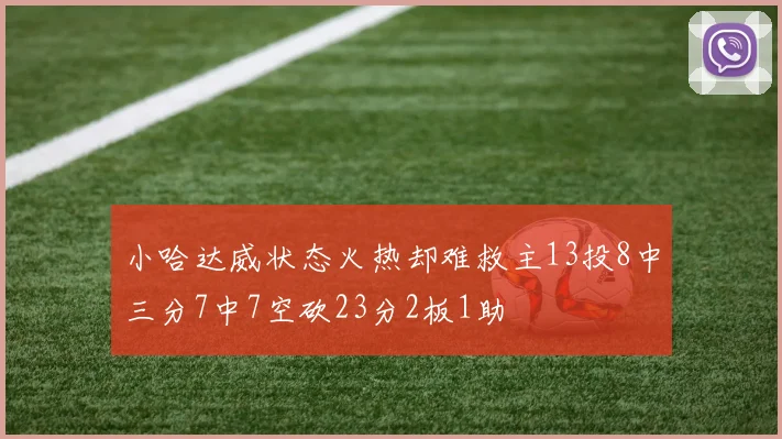 小哈达威状态火热却难救主13投8中三分7中7空砍23分2板1助