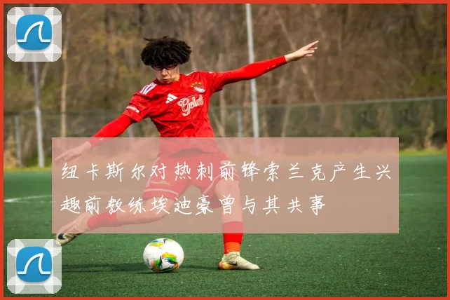 纽卡斯尔对热刺前锋索兰克产生兴趣前教练埃迪豪曾与其共事